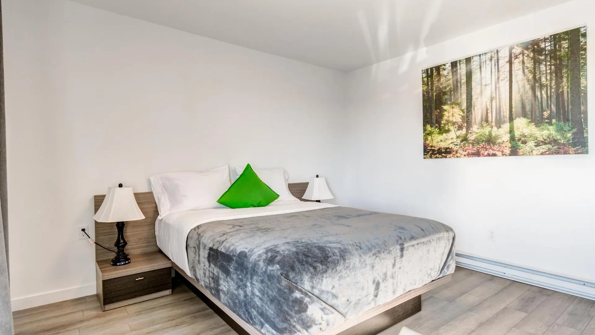 Motel Saint Bruno
